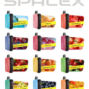 Affordable VAPME Disposable Vape SPACEX 22k