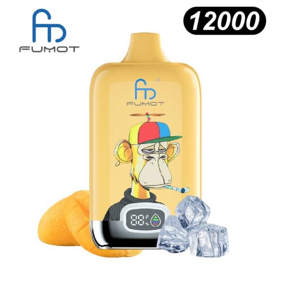 Randm 12000 Fumot Digital Disposable Vape