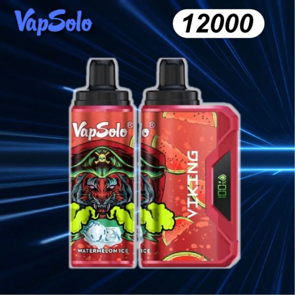 VapSolo Viking 12000 Puffs Disposable Vape Bulk Buy