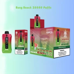 Bang Beach 20000 puff vape good sale Germany