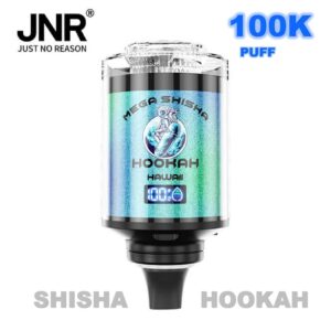 Shisha Hookah Disposable Vape 100000 JNR