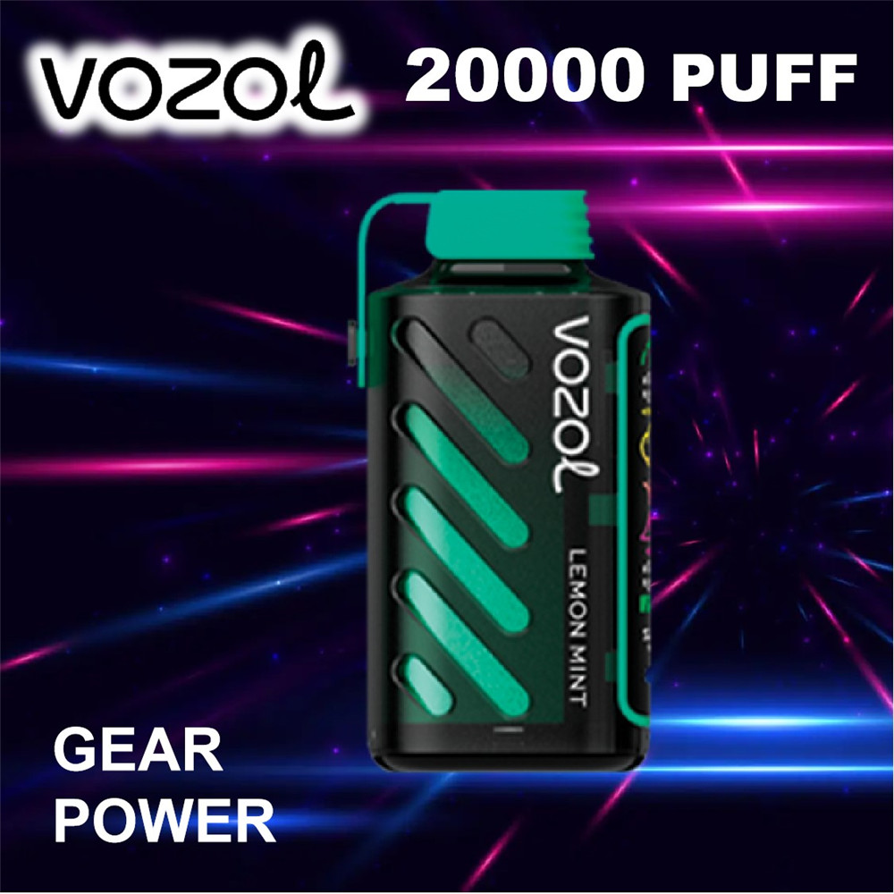 VOZOL Gear Power 20000 Disposable Bulk Buy